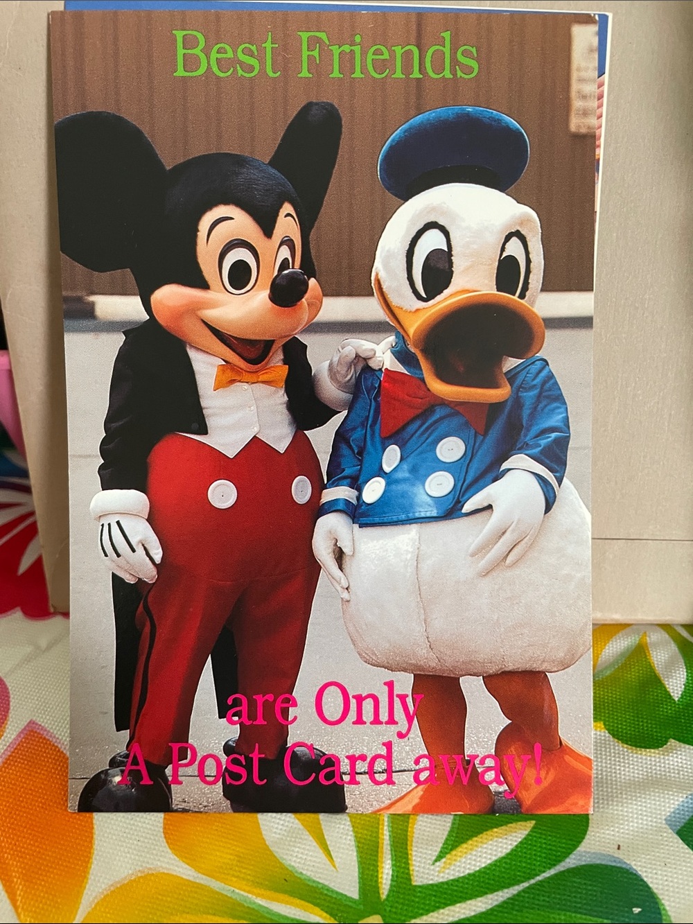 Best Friends Postcard Featuring Mickey and Donald - Multicolor